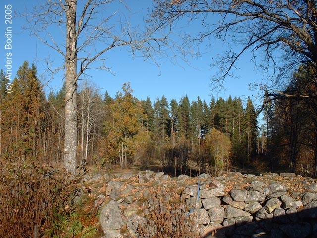 Hus06_okt05-001