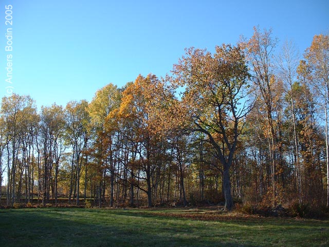 Hus06_okt05-003