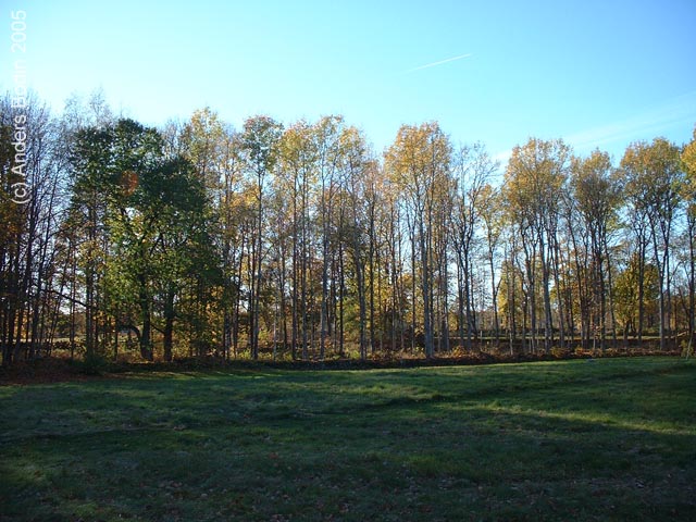 Hus06_okt05-004