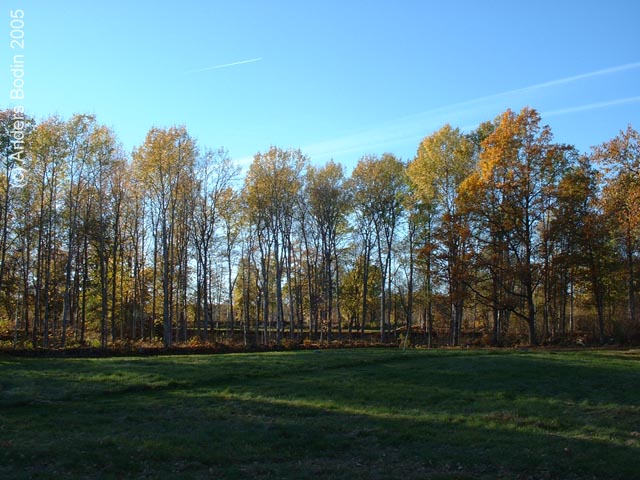 Hus06_okt05-005