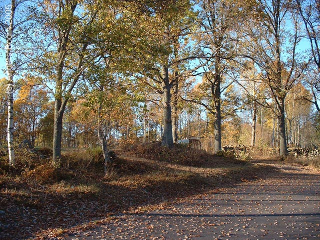 Hus06_okt05-008