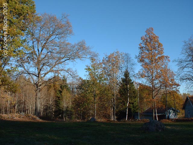 Hus06_okt05-014
