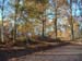 Hus06_okt05-008