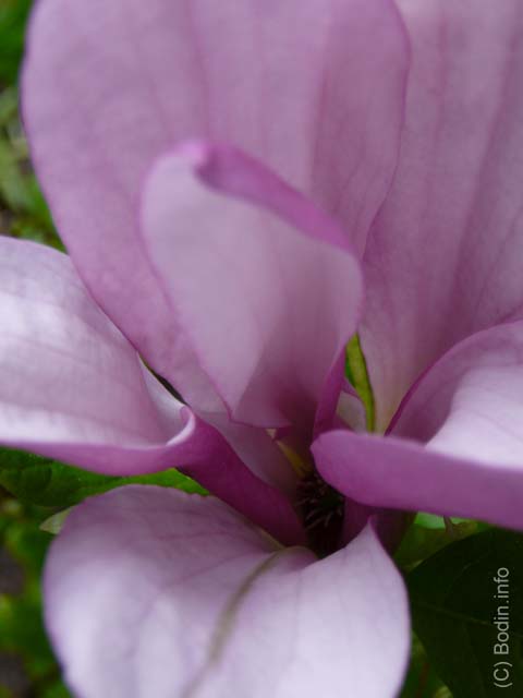 P1010153