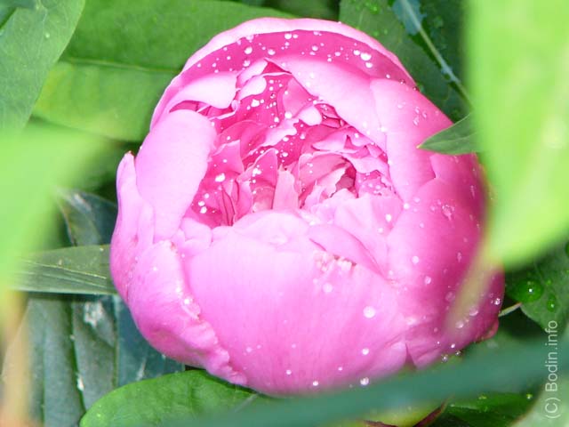 P1010317