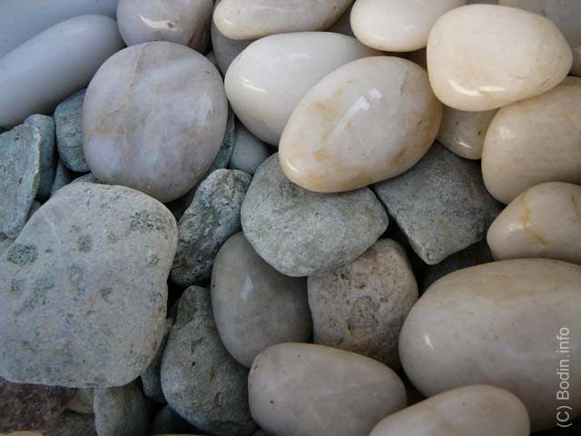 P1010341